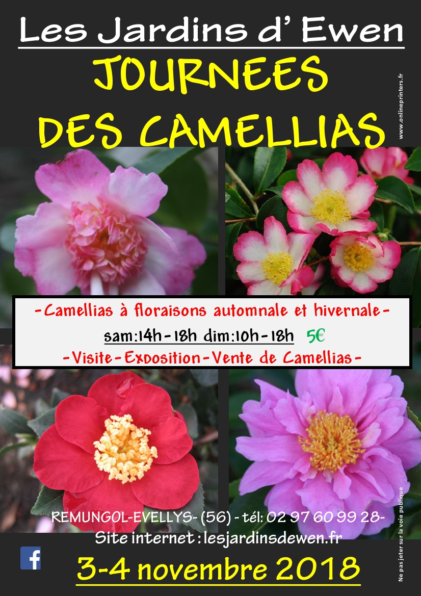Affiche camellias automne 2019