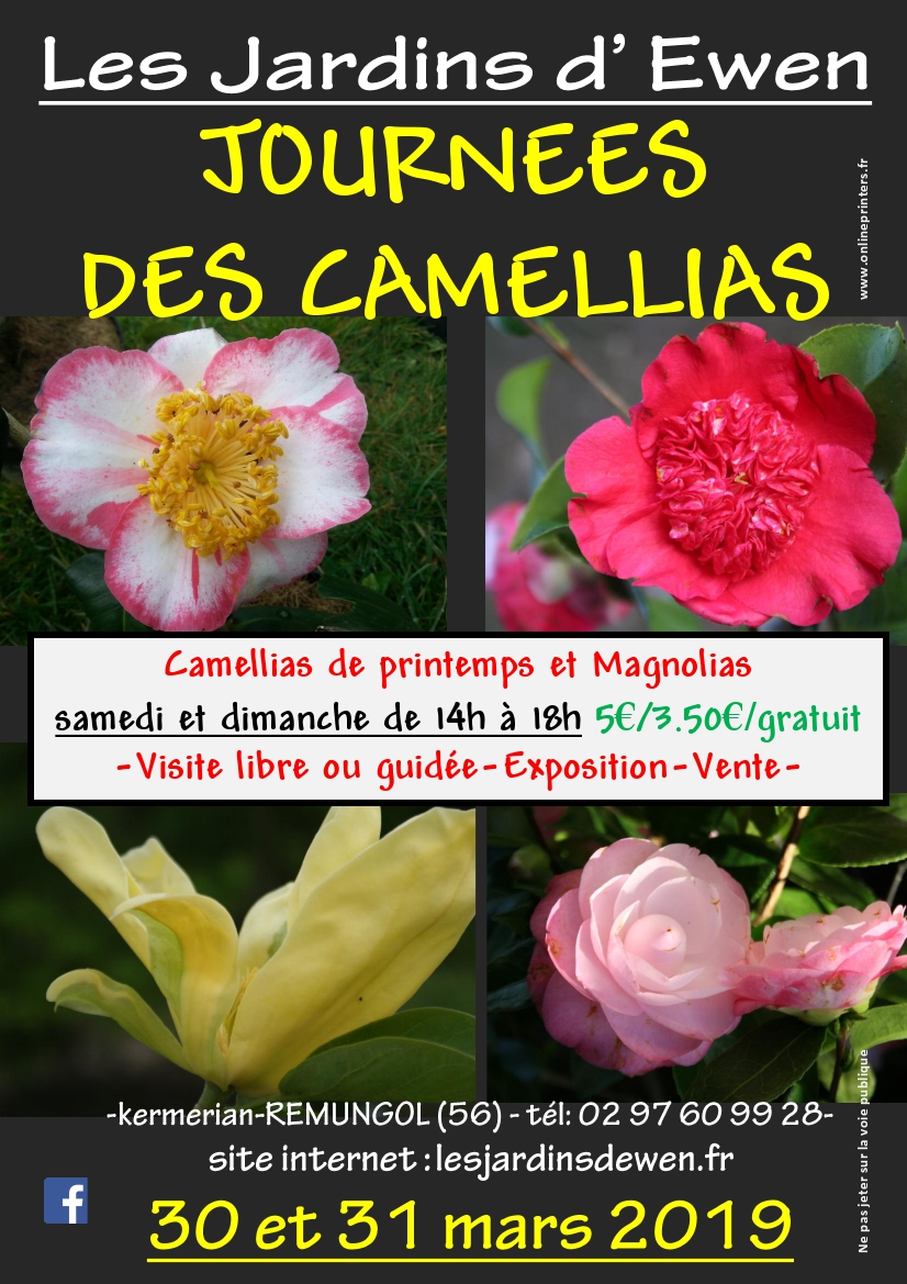 Affiche camellias printemps 2019