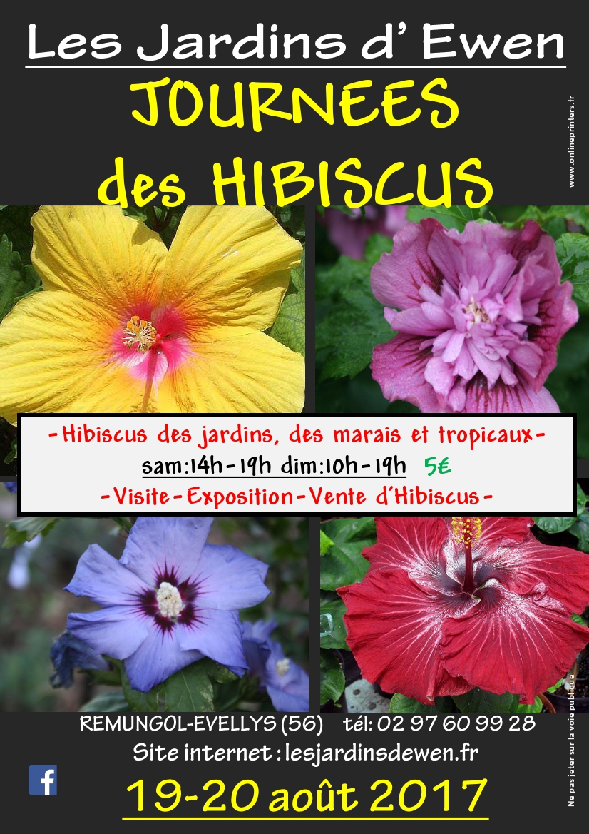 Affiche hibiscus 2017