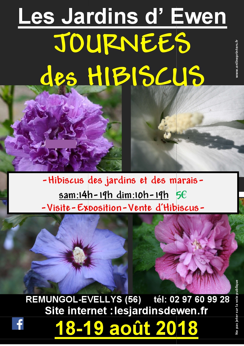 Affiche hibiscus 2018