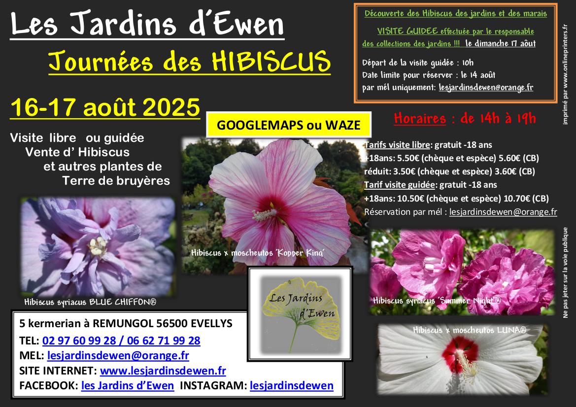 Affiche hibiscus 2025