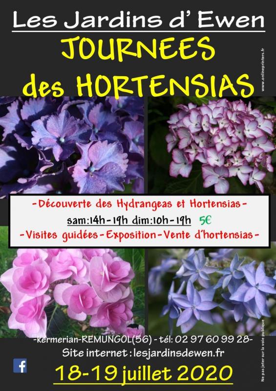 Affiche hortensias 2022