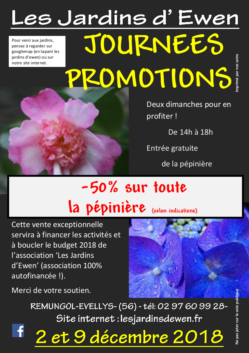 Affiche journees promotions 2018 dec