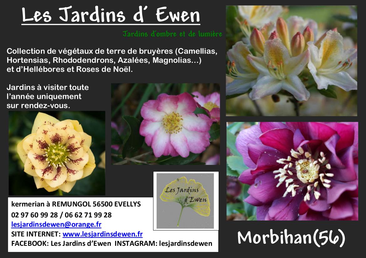 Affiche lje 2022 fdp lisieux