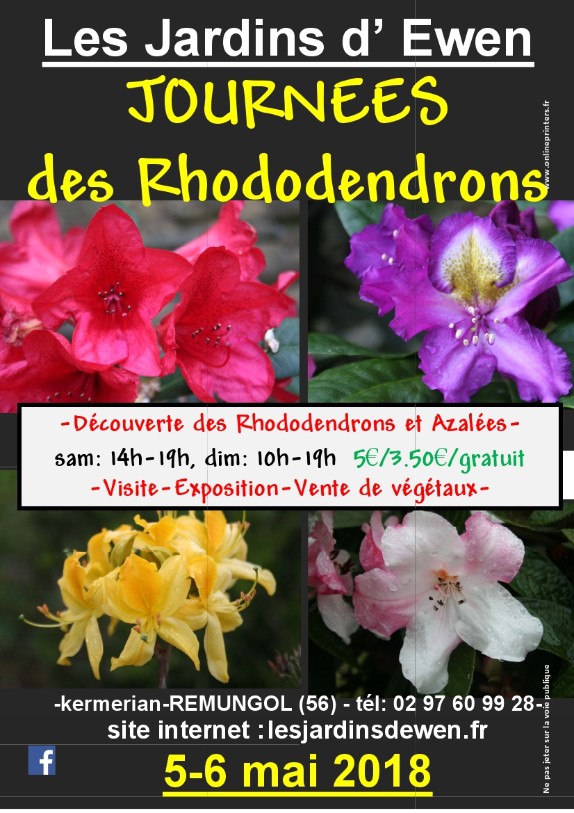 Affiche rhododendrons 2019