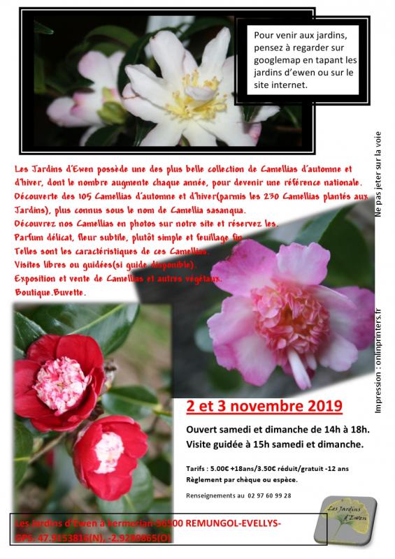 Prospectus camellias automne verso 2019