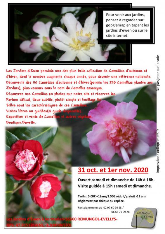 Prospectus camellias automne verso 2020