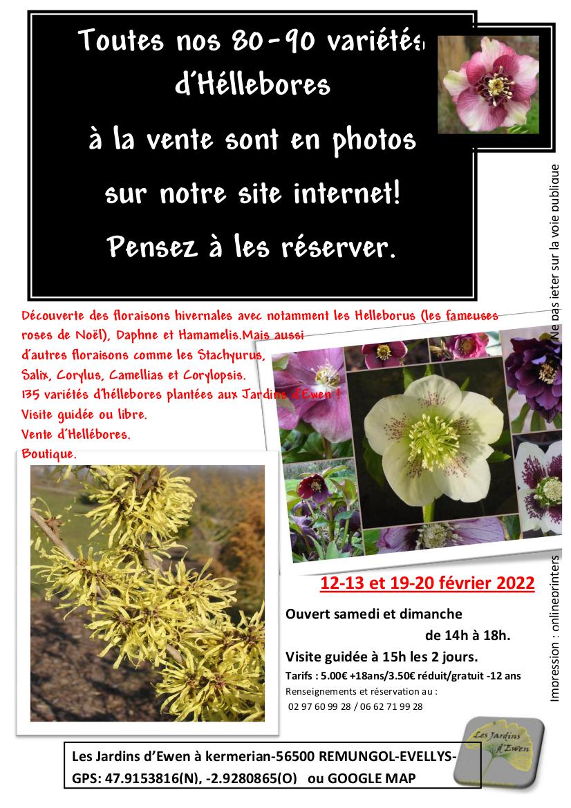 Prospectus hellebores 2022 verso