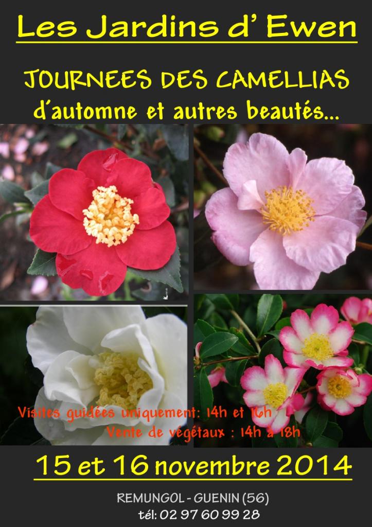 AFFICHE CAMELLIAS AUTOMNE-1-2014