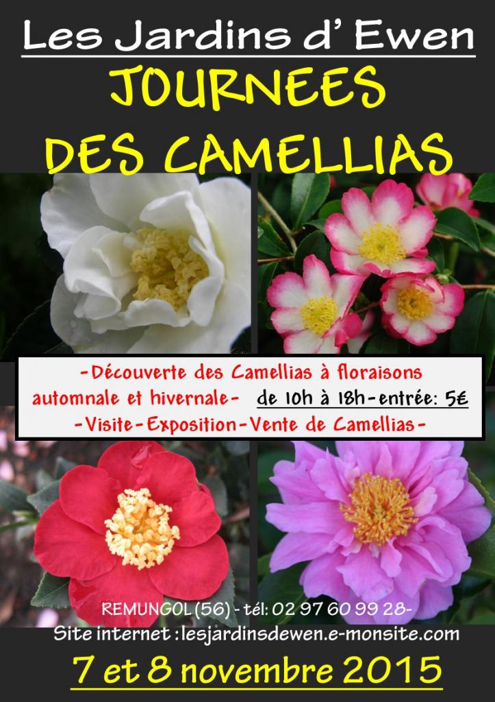 AFFICHE CAMELLIAS AUTOMNE 2015