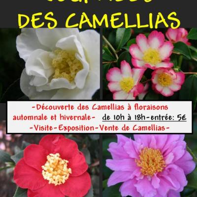 AFFICHE CAMELLIAS AUTOMNE 2015