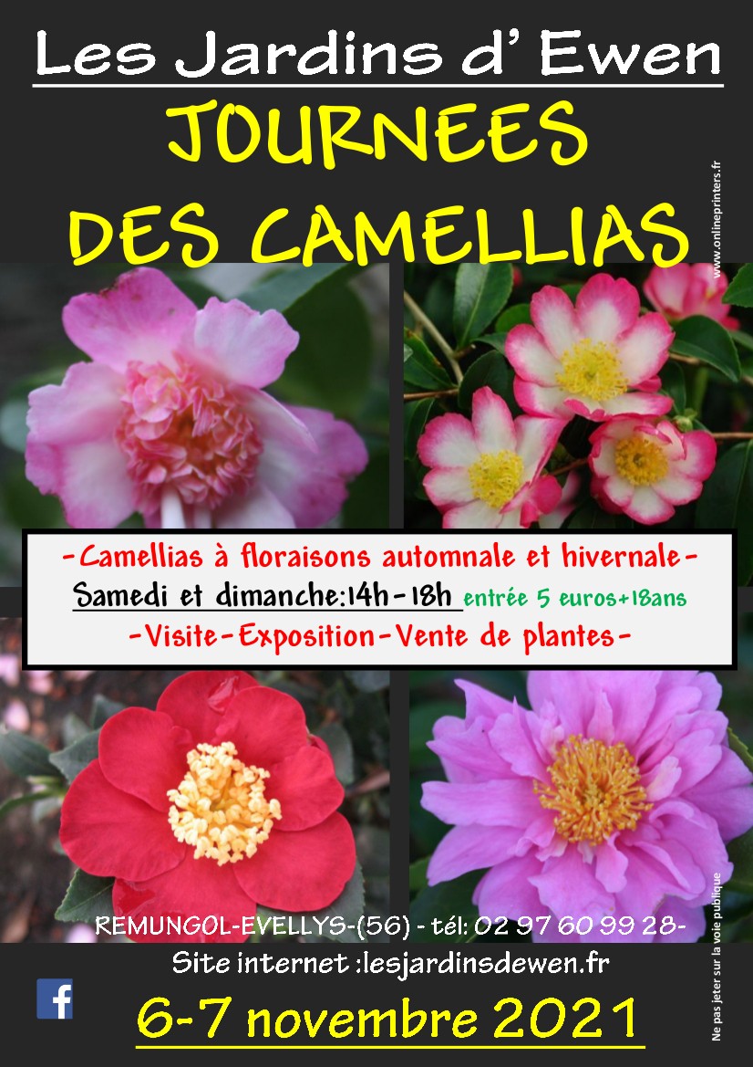 Affiche camellias automne 2021
