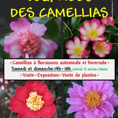Affiche camellias automne 2021