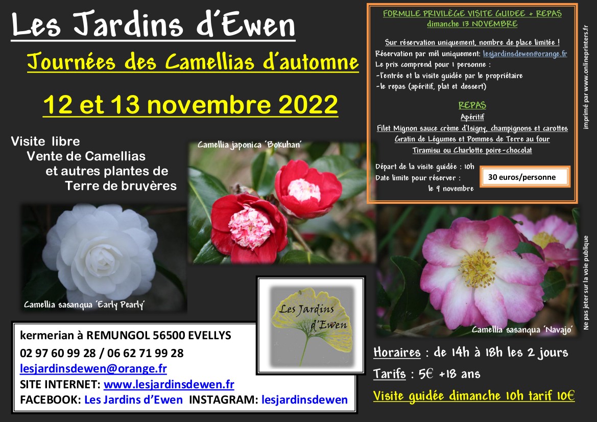 Affiche camellias automne 2023