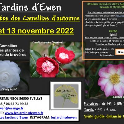 Affiche camellias automne 2023