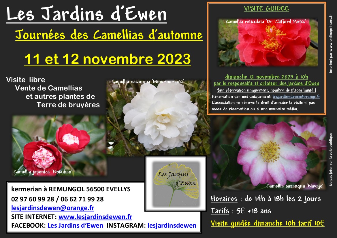 Affiche camellias automne 2023