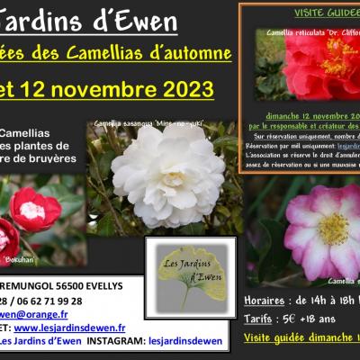 Affiche camellias automne 2023
