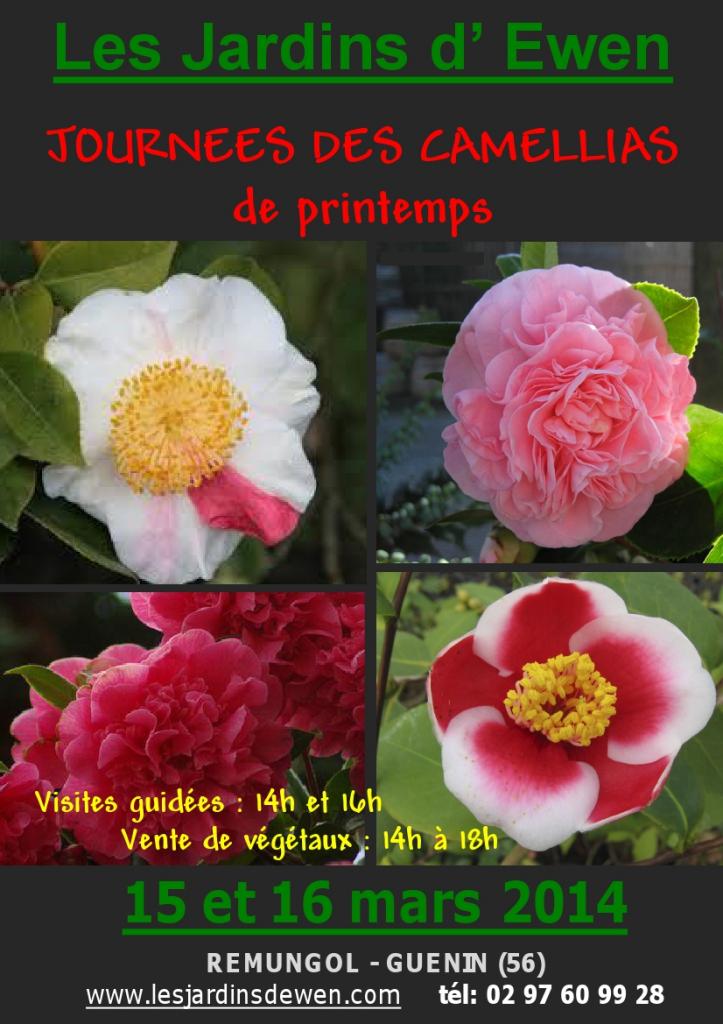 AFFICHE CAMELLIAS PRINTEMPS-1-2014