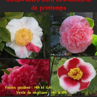 AFFICHE CAMELLIAS PRINTEMPS-1-2014