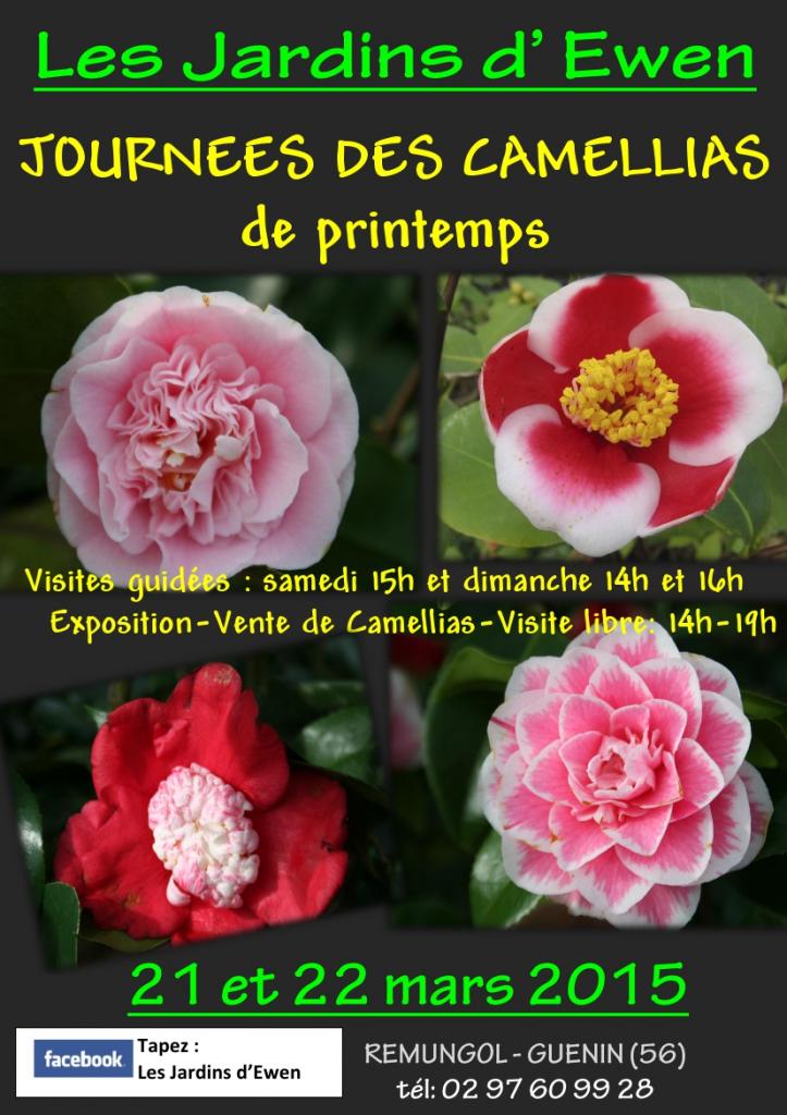 AFFICHE CAMELLIAS PRINTEMPS-1-2015