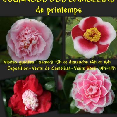 AFFICHE CAMELLIAS PRINTEMPS-1-2015