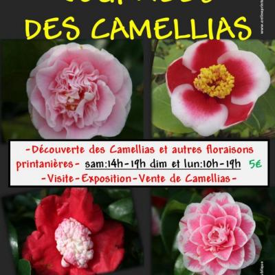 AFFICHE CAMELLIAS PRINTEMPS 2016