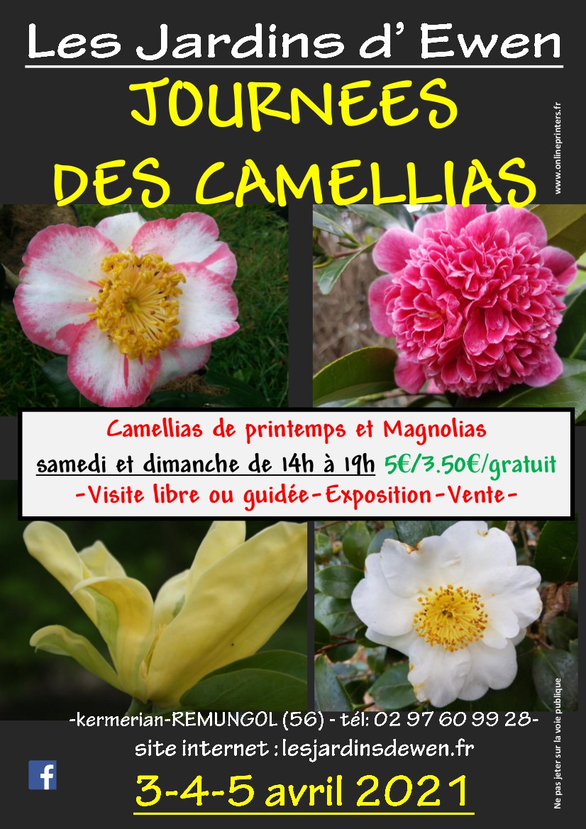Affiche camellias printemps 2021