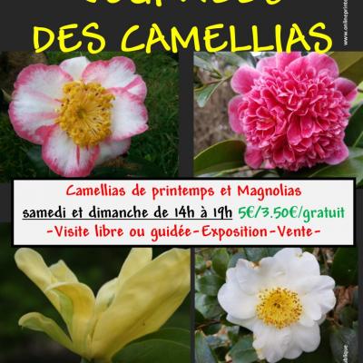 Affiche camellias printemps 2021
