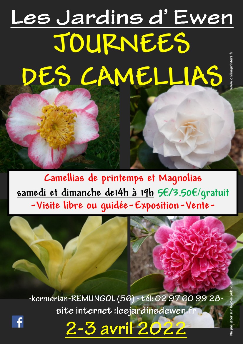 Affiche camellias printemps 2022