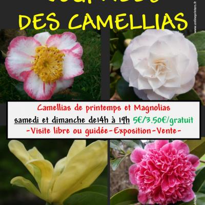 Affiche camellias printemps 2022