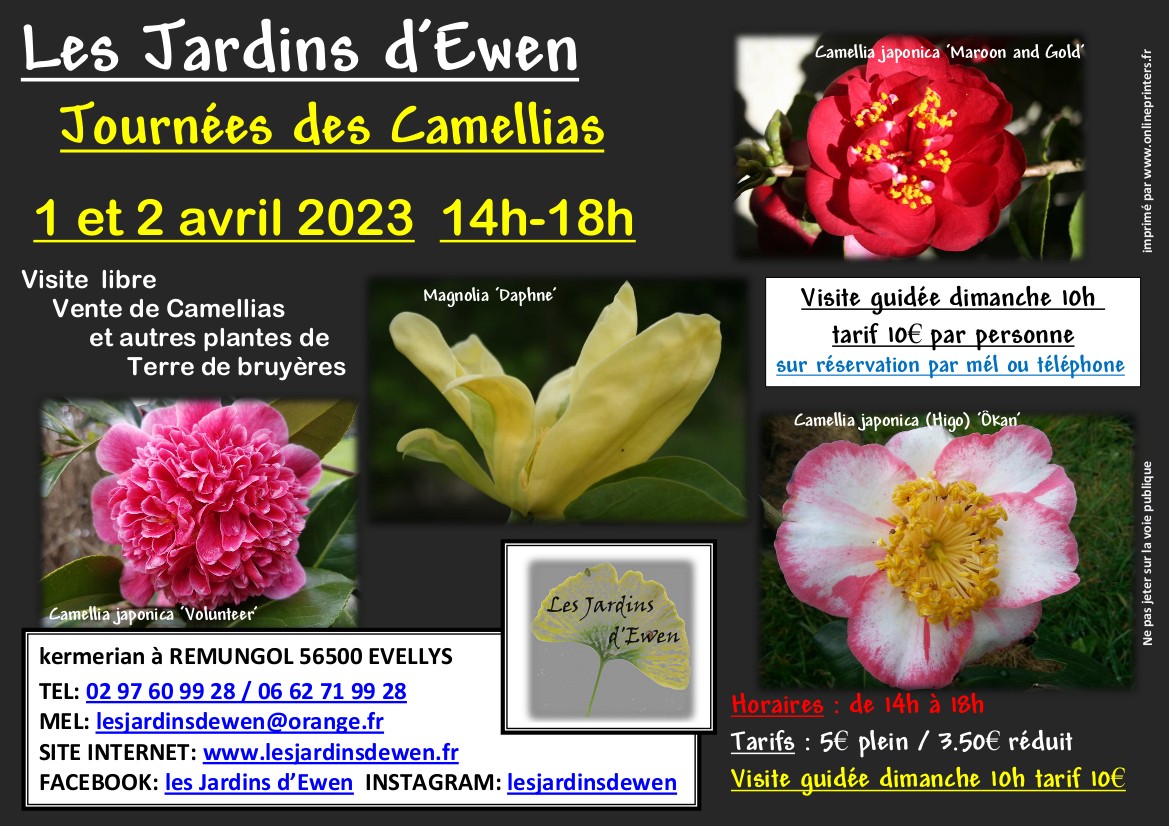 Affiche camellias printemps 2023 -second week-end-