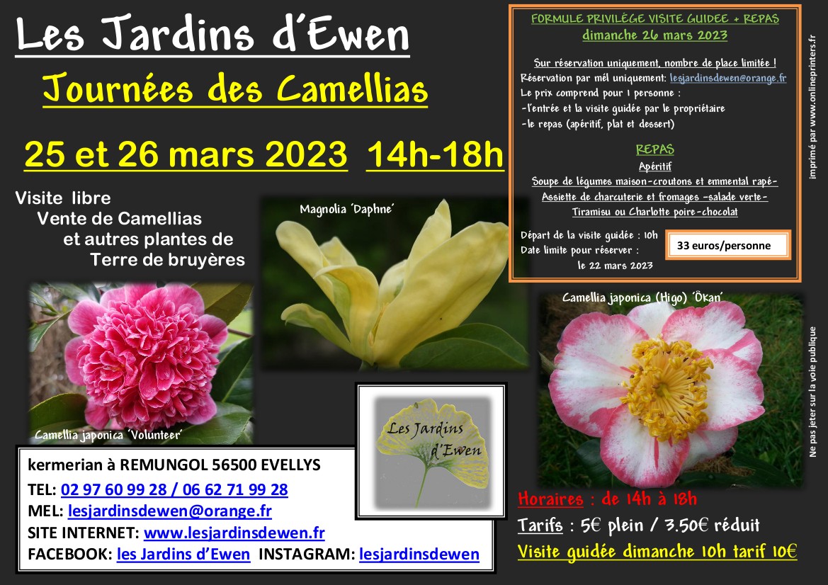 Affiche camellias printemps 2023