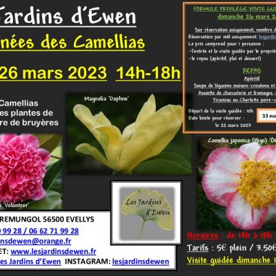 Affiche camellias printemps 2023