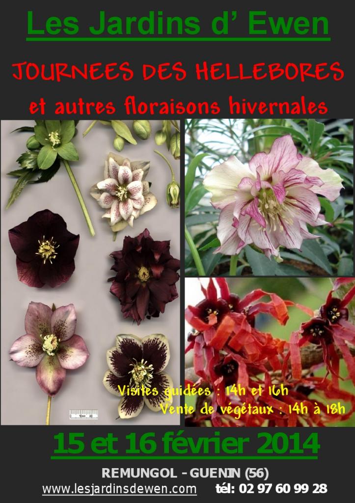 AFFICHE HELLEBORES-1-2014