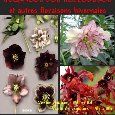 AFFICHE HELLEBORES-1-2014