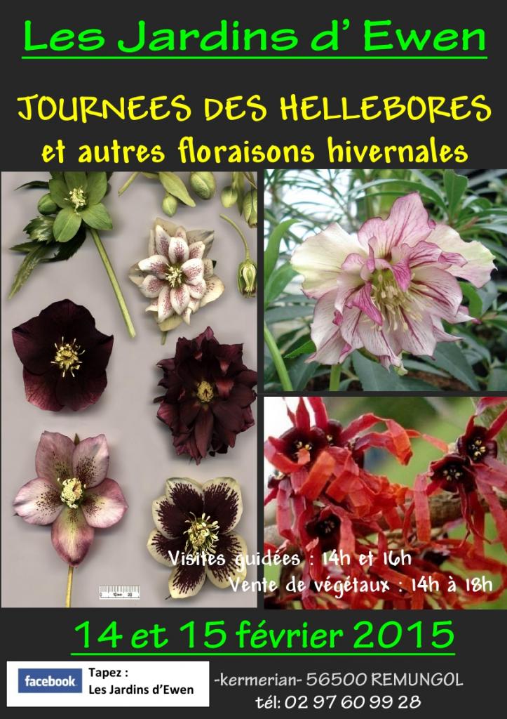 AFFICHE HELLEBORES 2015