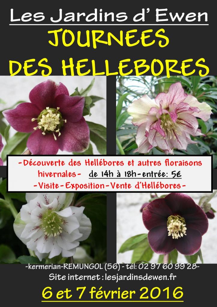 AFFICHE HELLEBORES 2016-2-