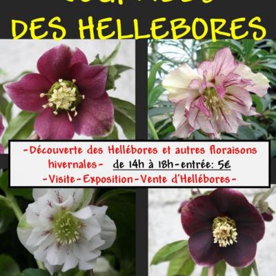 AFFICHE HELLEBORES 2016-2-