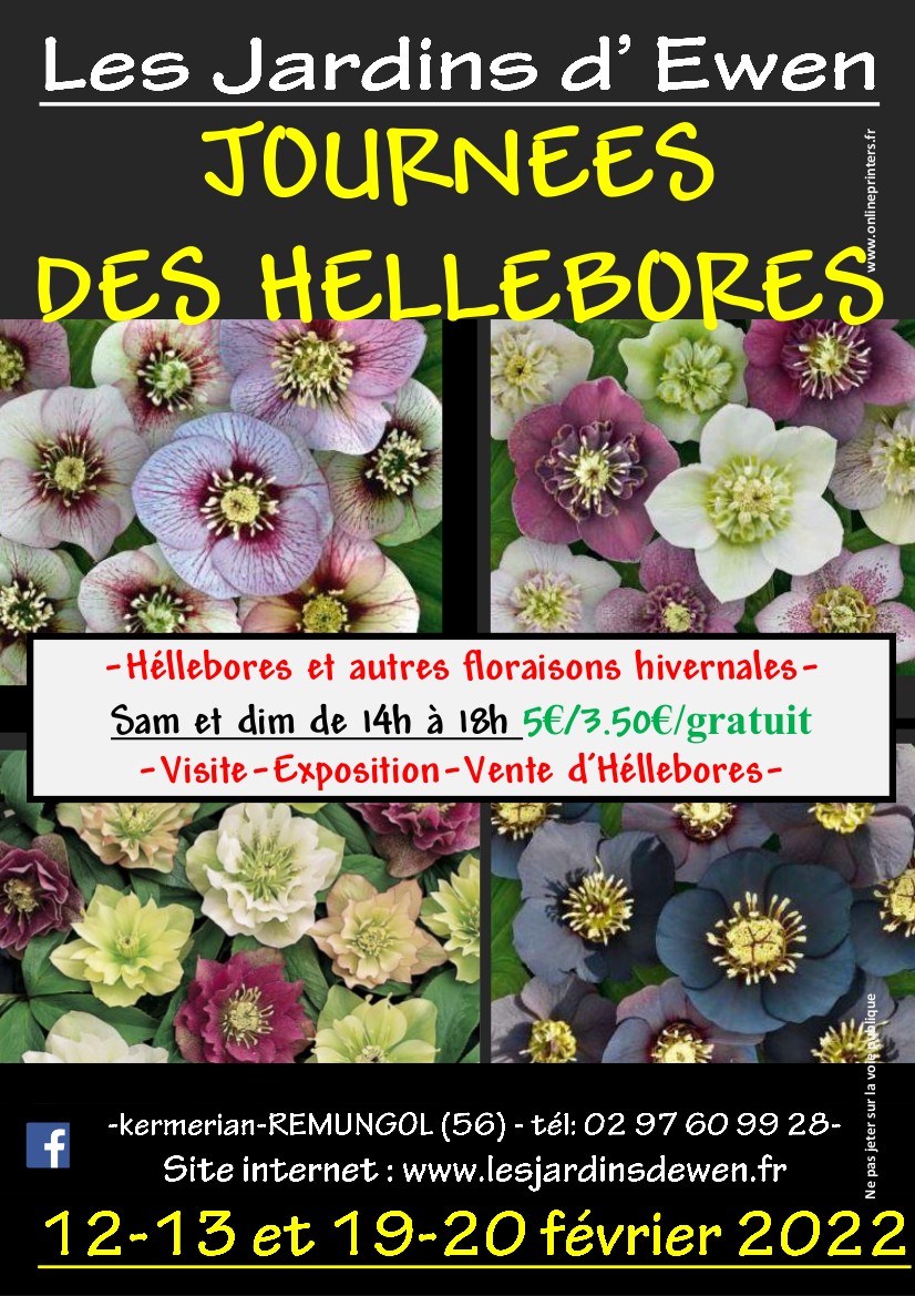 Affiche hellebores 2022