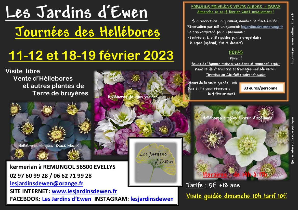 Affiche hellebores 2023