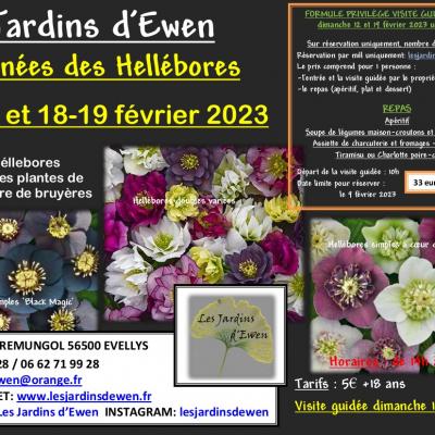 Affiche hellebores 2023