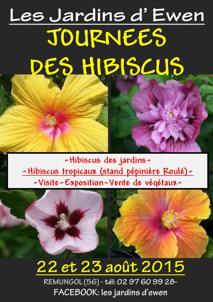 AFFICHE HIBISCUS 2015