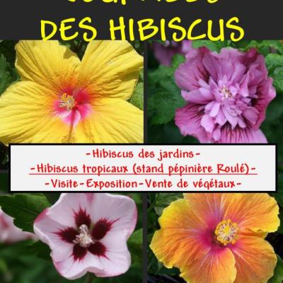 AFFICHE HIBISCUS 2015