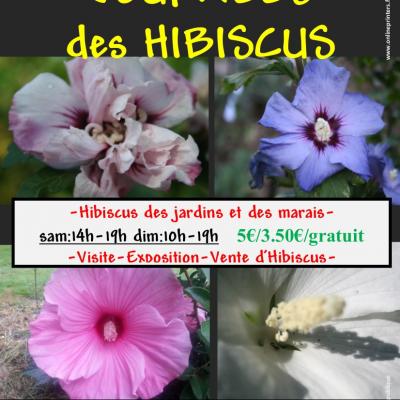 Affiche Hibiscus 2021