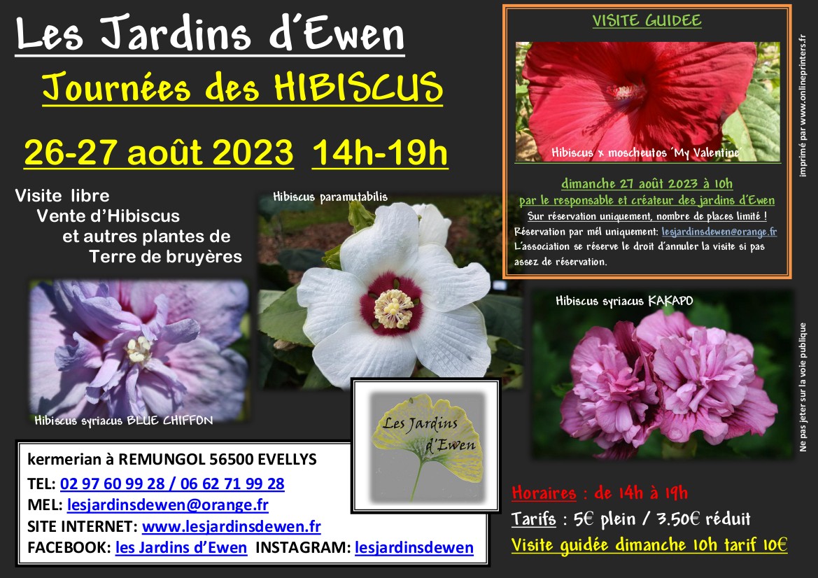 Affiche hibiscus 2023