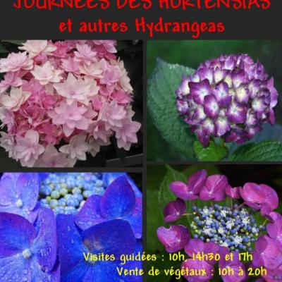 AFFICHE HORTENSIAS-1-2014