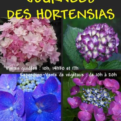 AFFICHE HORTENSIAS-1-2015