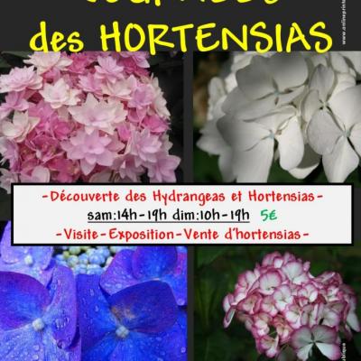 AFFICHE HORTENSIAS 2016