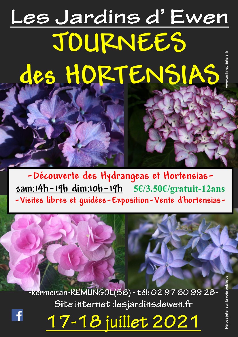 Affiche Hortensias 2021