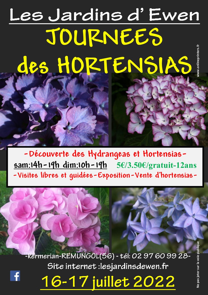 Affiche hortensias 2022